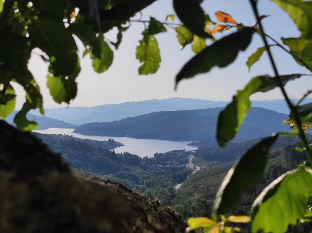 Vivenda Das Carvalhas Amiar Экстерьер фото
